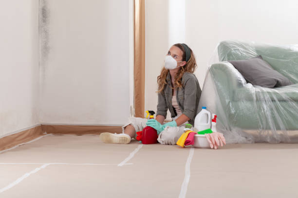 Reliable Mold Removal contractor in Bloxom, VA by WQB Mold Removal